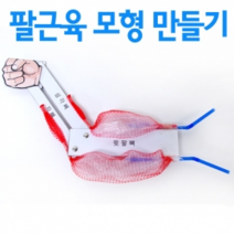 팔근육 모형만들기(10인)