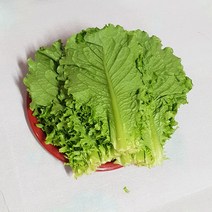 청상추4kg 적상추4kg 포찹 4kg 국내산 백산상회, 1박스, 청상추