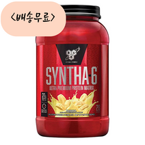 1+1 BSN 비에스엔 신타6 프로틴 파우더 드링크 믹스 단백질 보충제 1.32kg, 1개