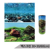 백스크린 30X30cm/60cm 수족관배경 어항배경 C525530