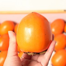 영암 금정 민정기님의 햇 대봉감 10kg(21~30과), 단품