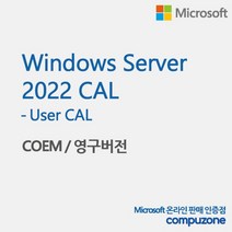 [마이크로소프트] Windows Server 2022 USER CAL [COEM(DSP)/5CAL추가용/한글]