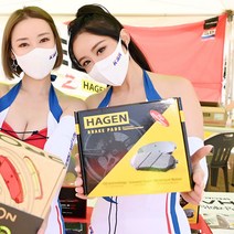 BMW X6 E71 xDrive 35i 뒤 하겐 브레이크패드 GP2164