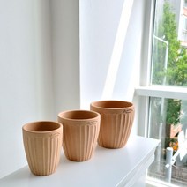 로자리안 토분 프린스 허니, 허니 D11x13cm, 1개