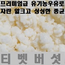 티벳버섯 케피어그레인, 1개, 5cc
