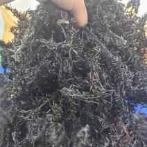 산지직송 건톳 200g 500g 1kg, 건 톳 500g, 1개