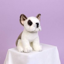 위더펫 리얼 강아지 인형 프렌치불독/펫인형/강아지인형/봉제인형/반려동물인형/동물인형/반려견인형/인형선물/petdoll/진짜같은강아지인형/위더펫, 1