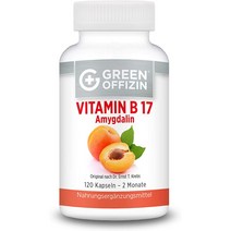 Green Offizin 그린오피진 비타민 B17 살구씨 추출 아세로라 비타민C 120정