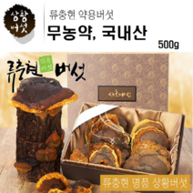 상황버섯 4년생 무농약 친환경 목질진흙버섯 약용버섯 류충현 세트, 1세트, 500g
