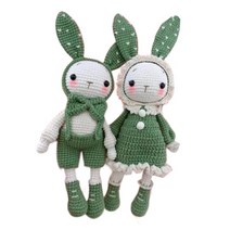 ZLD 초보자를 위한 완벽한 크로셰 키트 귀여운 토끼 크로셰 공예 팩 크로셰 뜨개질 배우기 원사 후크, 36cm, 실, 녹색