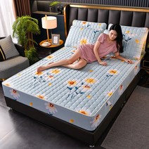 라지킹침대 두꺼운 퀼트 매트리스 커버 킹 퀸 침대 시트 항균 패드 베개 없음 1 개, 06 2pcs 47x74pillowcase, [03] chuju