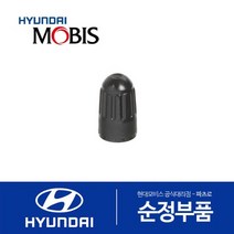 순정 타이어 공기주입구 캡 밸브 검정 (529372V100)