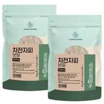 식이섬유 차전자피 가루 500g 2팩