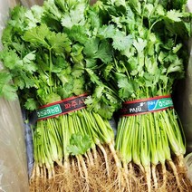 고수 3kg, 1개