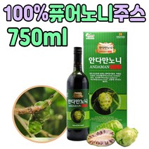 100% 노니 열매 주스 마시는 원액 발효 액상 차 티 NONI 간식 여름 운동 전 후 먹는 방법 인도 선물 용 건 추천 품질 좋은 음료 수 엑기스 진액 수험생 남자 여자 노인 장모님 주부