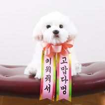 갓샵 인간화환 당일발송ver 강아지형 소형 졸업 결혼식