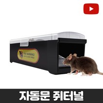 월드그린 자동문 쥐터널, 1개, 1개