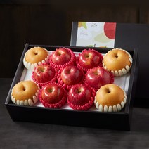 [맛딜]프리미엄 사과 배 혼합 과일선물세트4.3kg내외(사과7 배4과), 단품