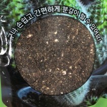 다육이흙갈이 다육식물 선인장 분재 화분갈이흙 2.5L