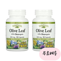 [내츄럴팩터스]-M2-natural Factors 올리브잎추출물 500mg 올레유로핀 15프로 90개입[[2통]], 2개