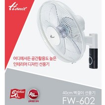 한일 한일 벽걸이 선풍기/FW-602/5엽날개/가정/음식점/학원, 단일옵션