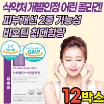 개별인정형 콜라겐 저분자 어린 피쉬 어류 생선 껍질 비늘 콜라겐 펩타이드 512달 비오틴 히알루론산 가루 분말 스틱 식약처 식약청 인증 인, 12박스