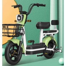 전기자전거 출퇴근 전동 이륜 장거리용 소형 라이딩, 상세 페이지 참고, 디럭스 에디션 블랙 48V