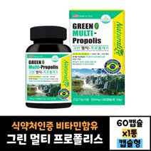 그린프로폴리스 비타민 아연 그린멀티 프로폴리스 60캡슐 효능 효과 먹는법 30대 40대 50대 60대 남자 여자
