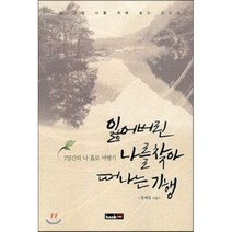 잃어버린 나를 찾아 떠나는 기행:7일간의 나 홀로 여행기, 북랩, 정재섭 저