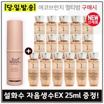 에코브런치 멀티밤 구매시 NEW 자음생수EX 25ml x16개 (총 400ml), 1개