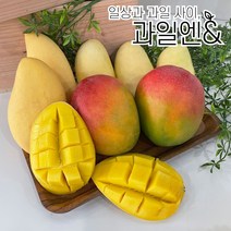 과일엔 프리미엄 고당도 애플망고 태국망고 골드 무지개 망고 모음, 태국 남독마이 골드망고, 3.5KG 내외 7~10입