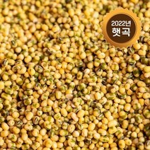 (논앤밭위드) 2022년 햇곡 깐녹두(수입산) 1kg+1kg, 상세페이지 참조, 상세페이지 참조