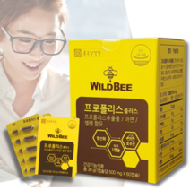 프로폴리스아연c비염 프로폴리스 면역력 비염 에좋은 영양제 500mg 60캡슐, 2개(4개월분)