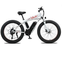 전기 산악 자전거 팻 타이어 모페드 오프로드 충격 흡수 48V 1000W 26 인치, 01 WHITE_02 48V13AH 750W