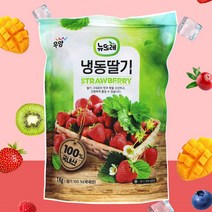 [올찬몰] 국내산 냉동 딸기 1kg