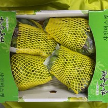 선물세트 샤인머스캣 특품 보자기 4kg