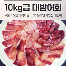 자연산 대방어필렛 10kg급 대방어회 1kg 500g 숙성지포장 초장포함