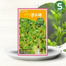 솔림텃밭몰 새싹경수채씨앗 12g 새싹경수채 새싹채소씨앗, 단품