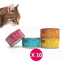 친절한도그씨 피쉬포캣 캔 70g x10개 고양이주식캔 습식사료, 참치오징어70g x 10개