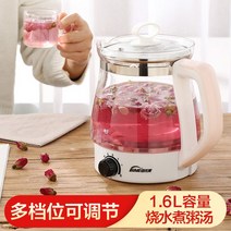 약탕기 가정용 인삼 달이기 건강 냄비 통합 1 6L 다기능 끓는 물 전기 주전자 두꺼운, [4] 하늘색  필터