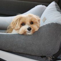 강아지 카시트 고양이 카시트 깔끔 커버분리형 리토가토 그레이 / 카시트+안전고리1세트, 베이지