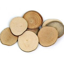 (재미스쿨) 그리기나무 약1kg 천연나무조각 자연나무 원형 타원형, 원형 중 (타공)