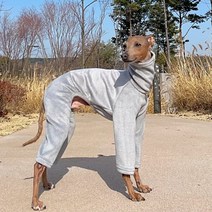 도기스타 이탈리안그레이하운드옷 아이쥐옷 기모 스판올인원, 그레이