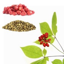 장뇌삼 산양삼 재배용 인삼씨앗 1kg 인삼씨 인삼종자 씨앗 모종, 상세페이지 참조