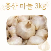 홍산마늘 3kg 꿀마늘 고당도마늘, 1개