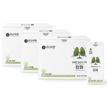 유비무환 정화 기관지 목 건강 폐에 좋은 음식 배 도라지 인삼 환, 75g, 3개