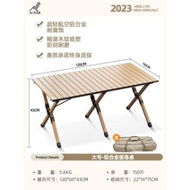 아웃도어 접이식 테이블 알로이 에그롤 캠핑 여행 휴대용 의자 용품 대전, 【120*60CM】알루미늄  테이블- (수납봉투 배달)