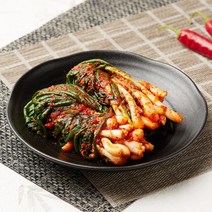 참자연마을 100% 국산 파김치 1kg
