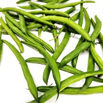 야채24닷컴 생 그린빈스 그린빈 4kg, 1개