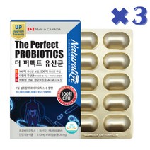 60대 생신선물 장건강 배변활동 락토바실러스 유산균 60캡슐X3박스